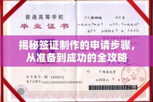 安源揭秘签证制作的申请步骤，从准备到成功的全攻略