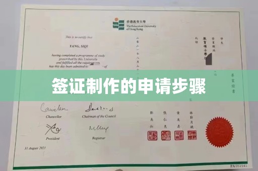 安源签证制作的申请步骤