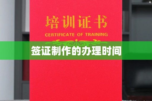 安源签证制作的办理时间