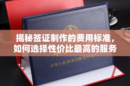 安源揭秘签证制作的费用标准，如何选择性价比最高的服务？