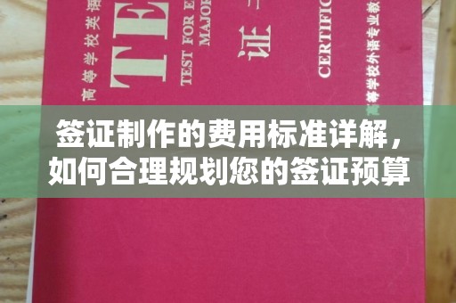 安源签证制作的费用标准详解，如何合理规划您的签证预算